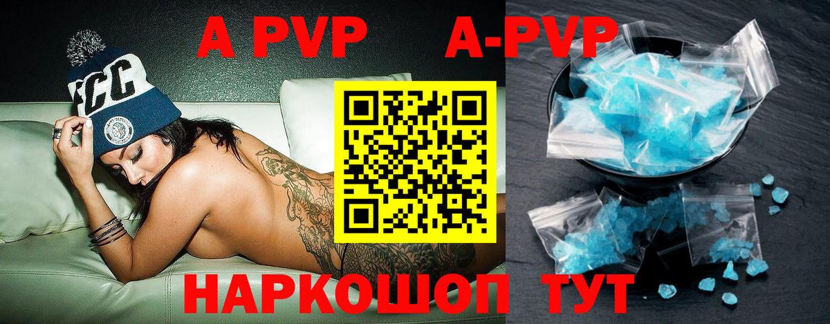 А ПВП СК Сыктывкар
